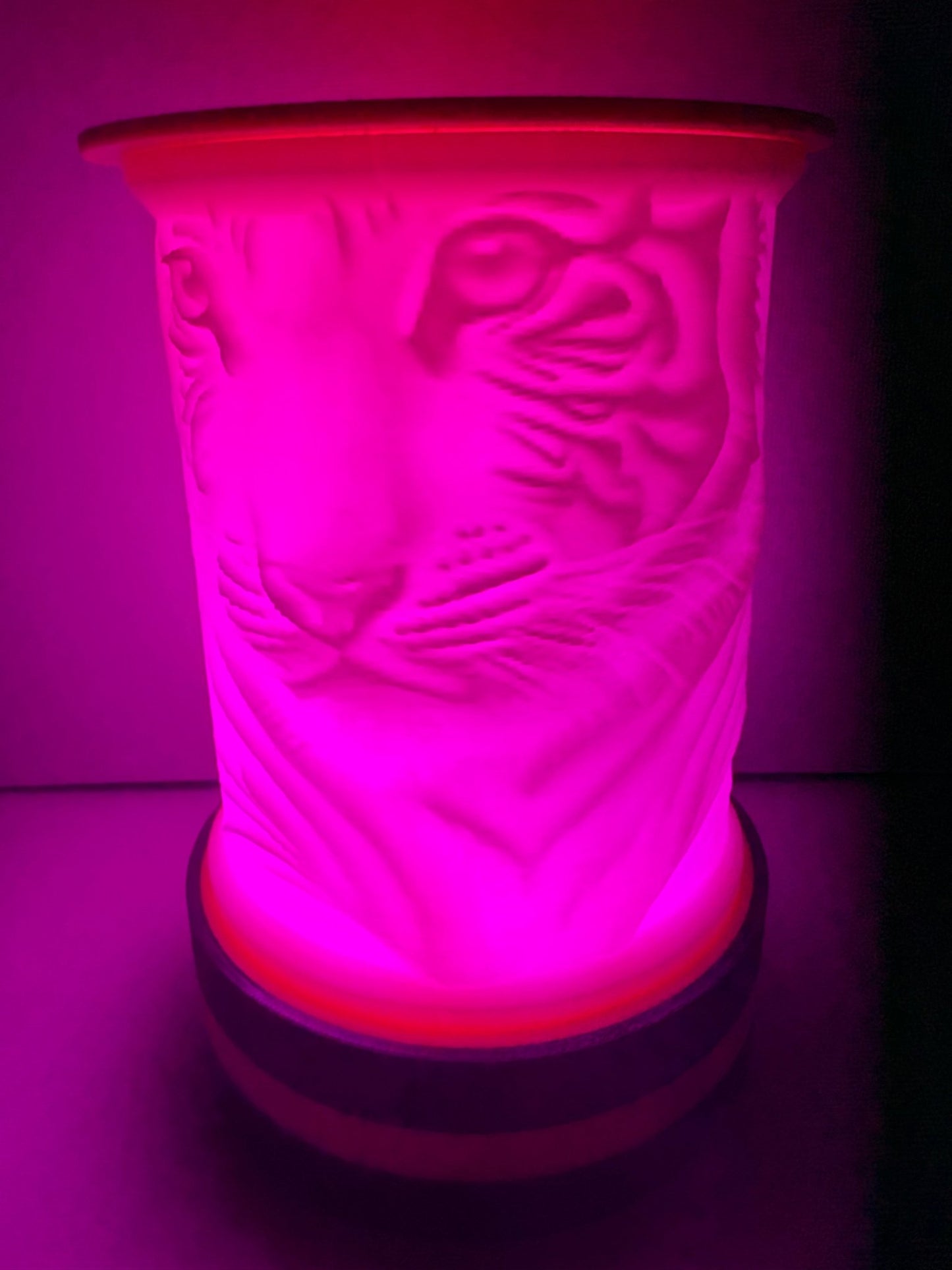 LED Lampe Sweet Tigers – Personalisierte Lithophane Lampe mit Farbwechsel